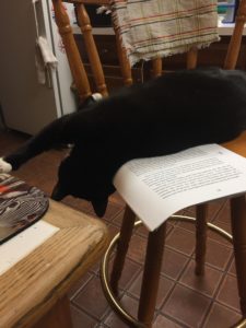 Black cat lays on top of a printed manuscript that is on a four-legged stool.
